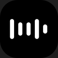 Action Mode logo