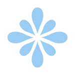 Bloomiro MCP logo