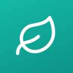 Pulse Local logo